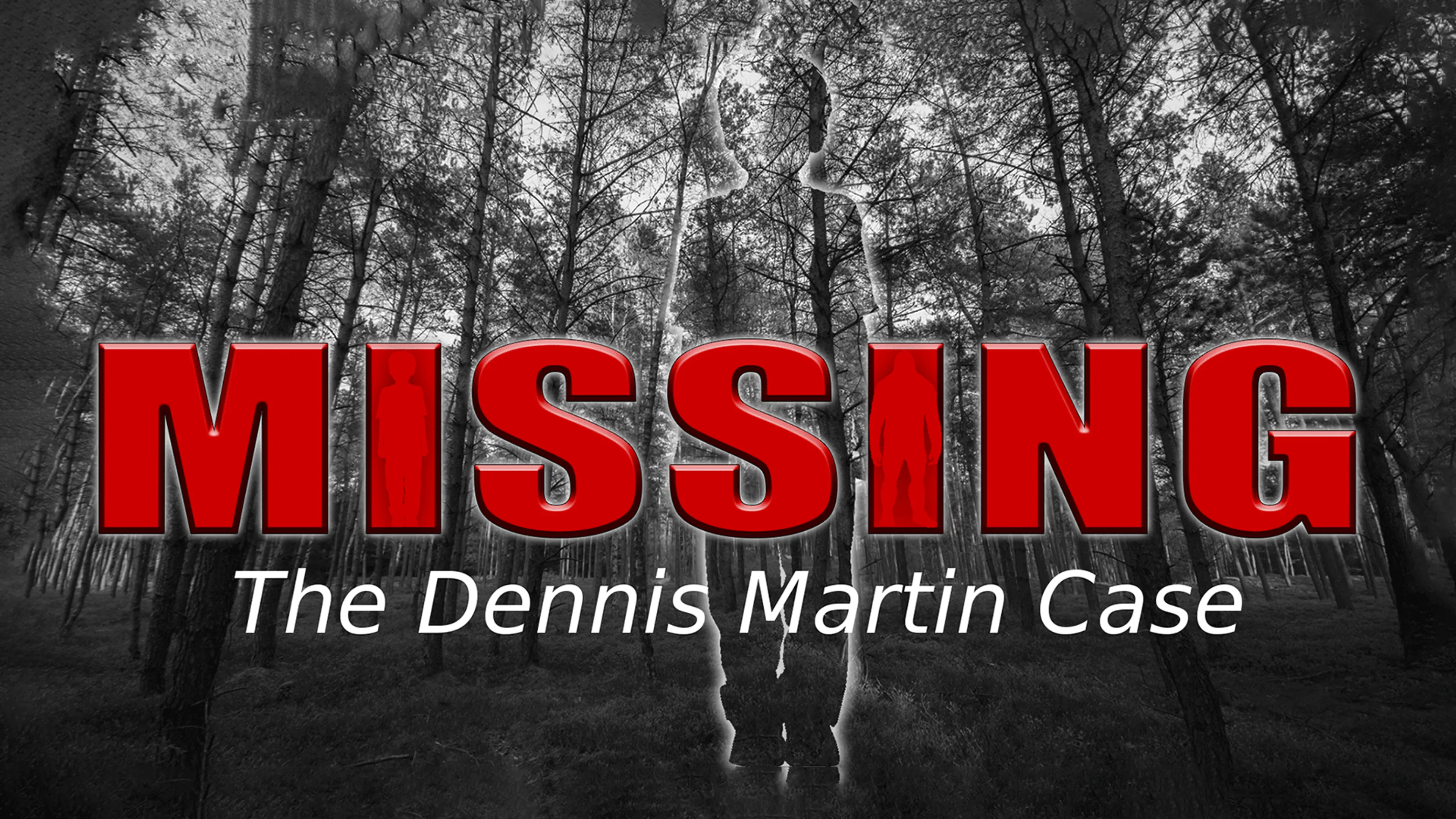 Missing: The Dennis Martin Case poster